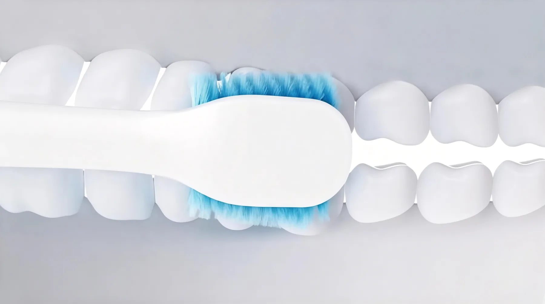 Top view of UniTooth brush head cleaning teeth