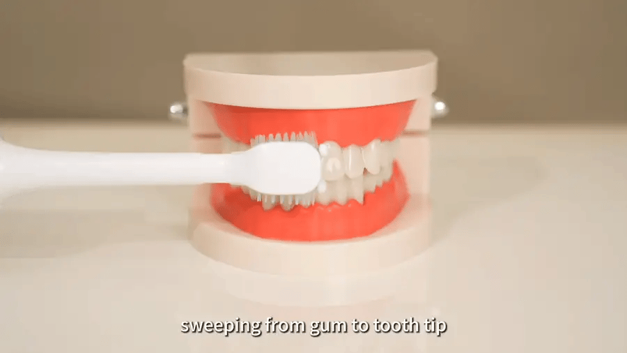 UniTooth demonstration showing gum-to-tooth-tip brushing motion